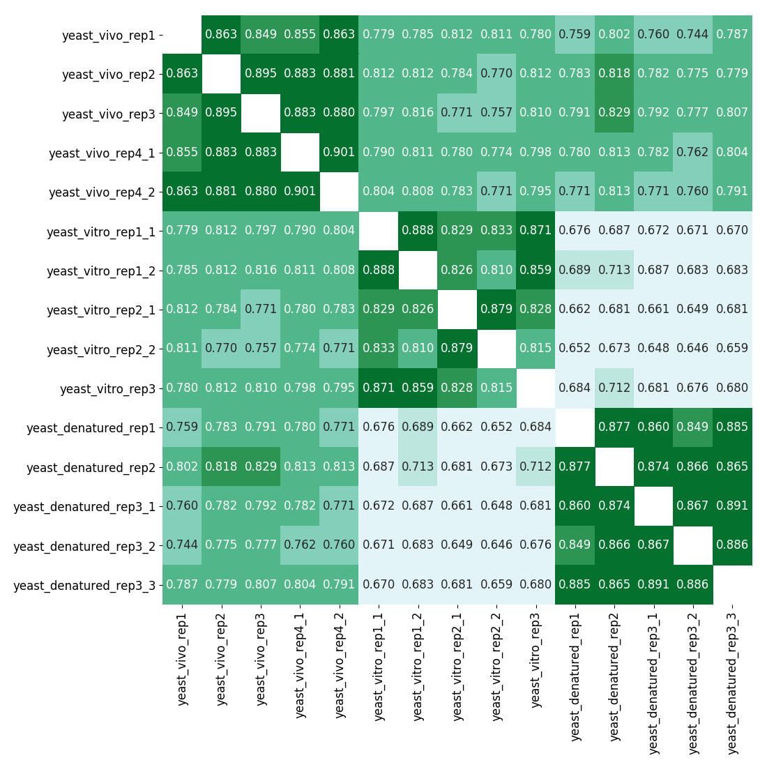 Correlation heatmap
